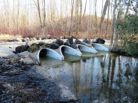 Bridge Over Coney Creek